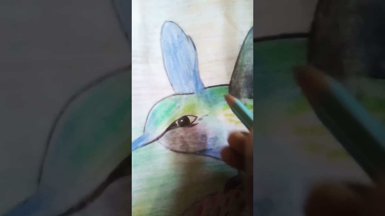 Drawing bird with pencil  colour 
