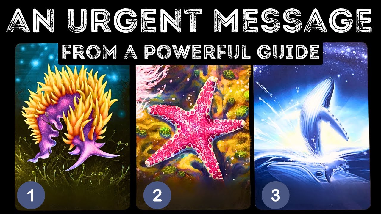 A Powerful Guide Has An URGENT Message For You! ⭐️⭐️⭐️ ⎮pick a card 🃏 tarot reading