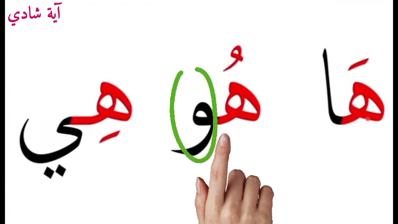 حرف الهاء - تعلم القراءة - حرف ه‍ مع الحركات القصيرة والحركات الطويلة والمدود والتنوين والسكون