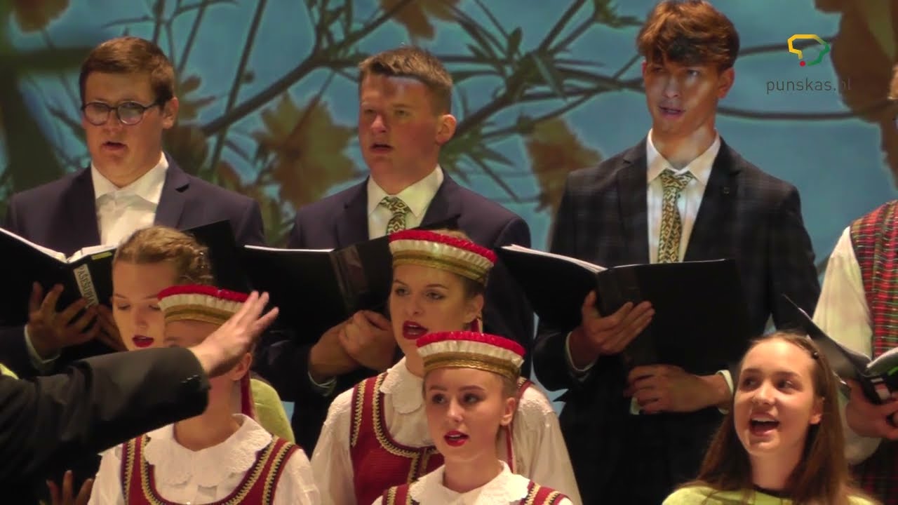 Jaunystės pievomis braidau PAŠEŠUPIAI 2