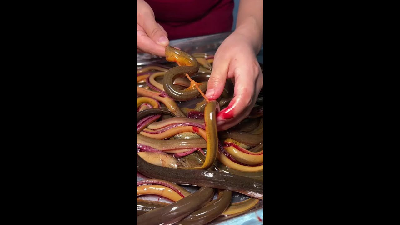 Immersive kitchen stir-fry aroma. I didn't know eels can be grilled, and they're really delicious! #