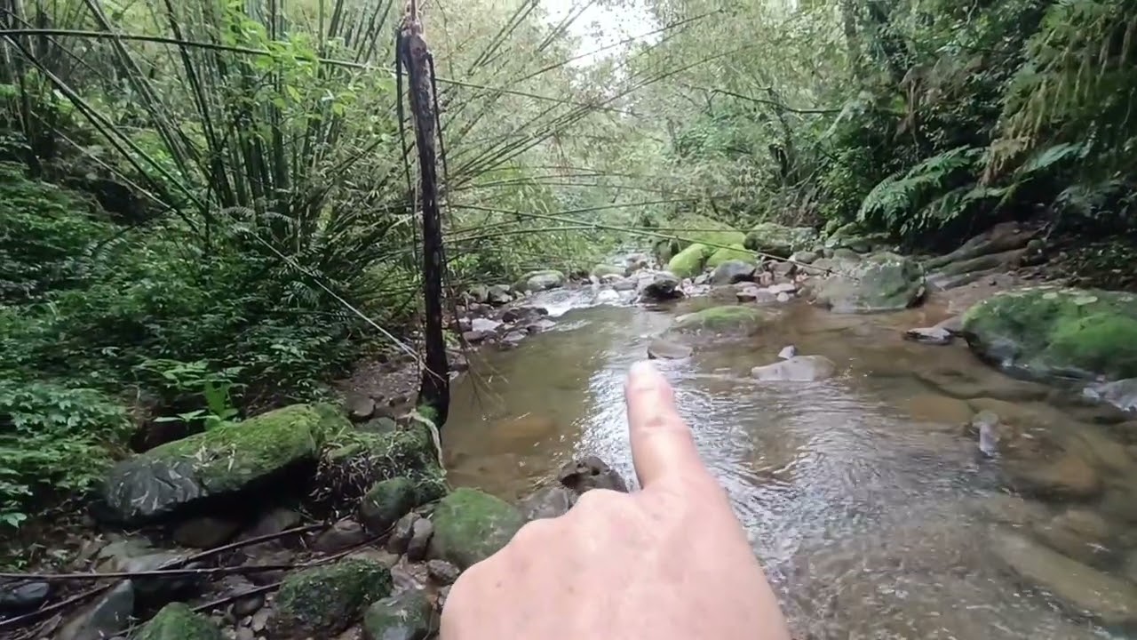 明偉釣魚/基隆河支流三坑溪西側上游