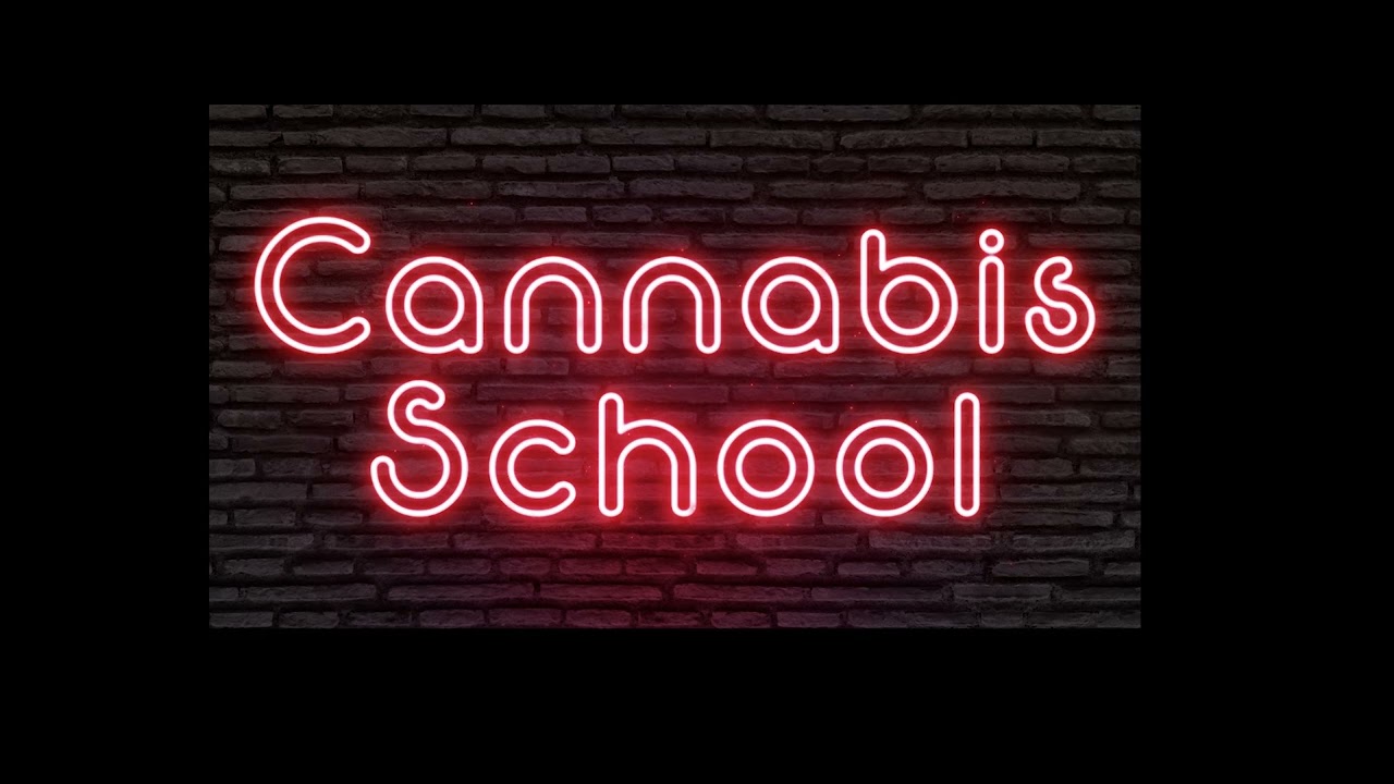 Cannabis 101 - Carts: Counterfeit or the Real deal