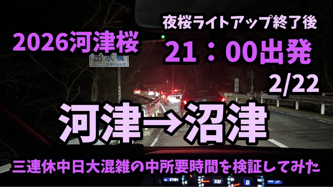 【2026河津桜】 2/22 大渋滞検証　夜桜ライトアップ　開花情報　開花状況　ライブカメラ kawazu Cherry blossom sakura 開花