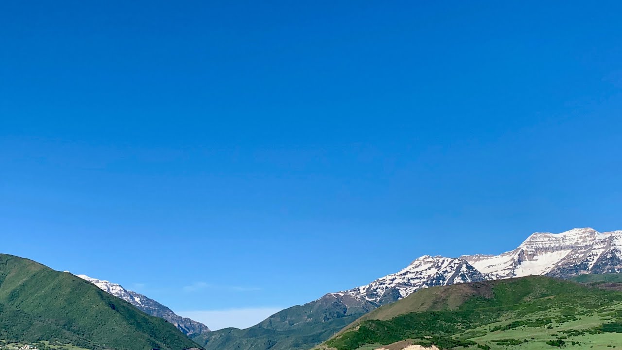 Edible And Medicinal Plants Of Central Utah