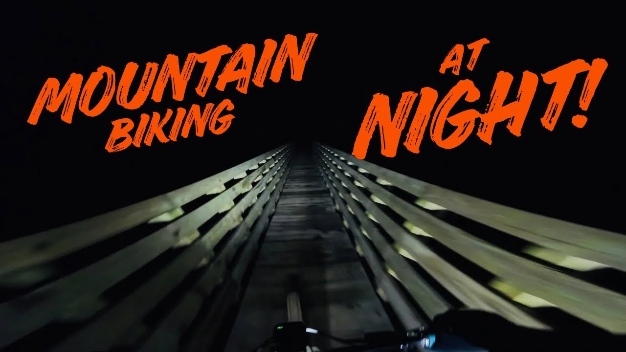 Tiger is SKETCHY at night!