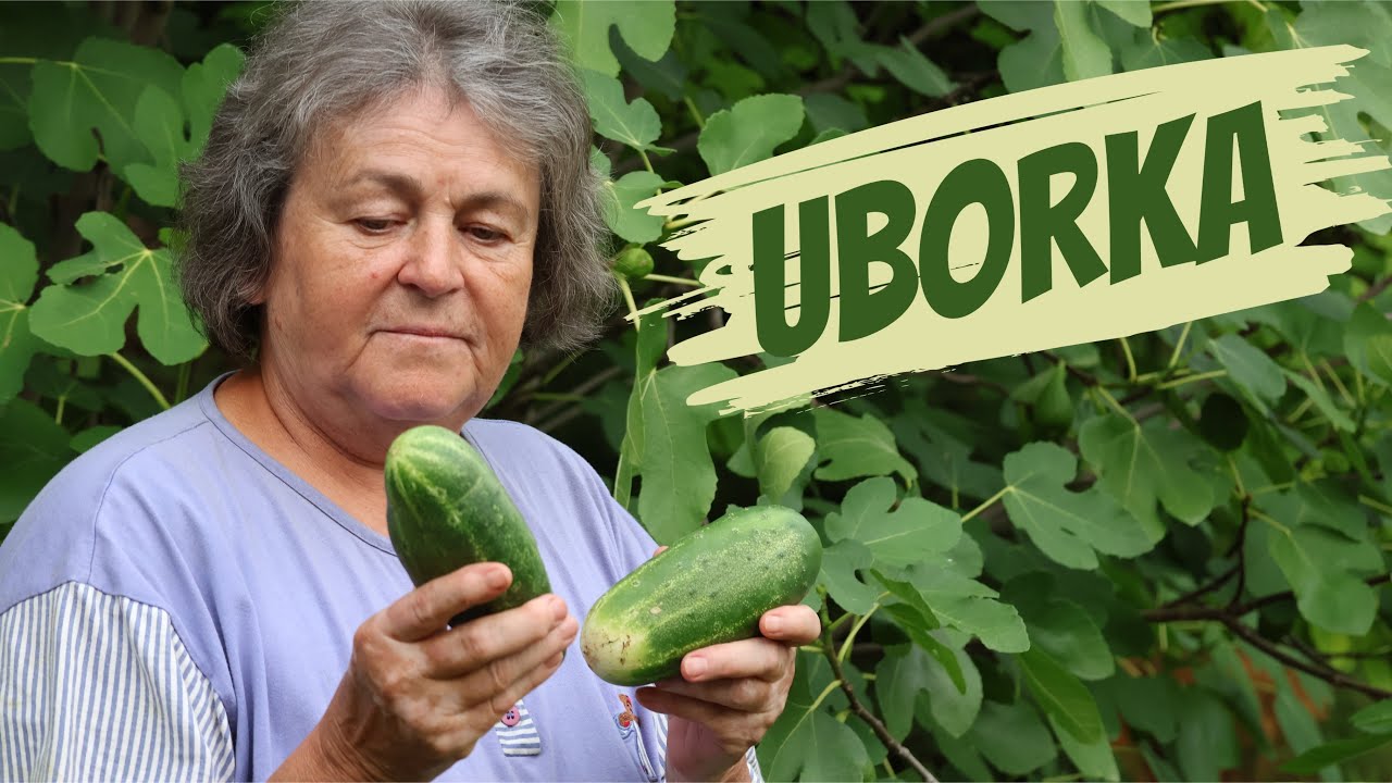 UBORKASZEZON