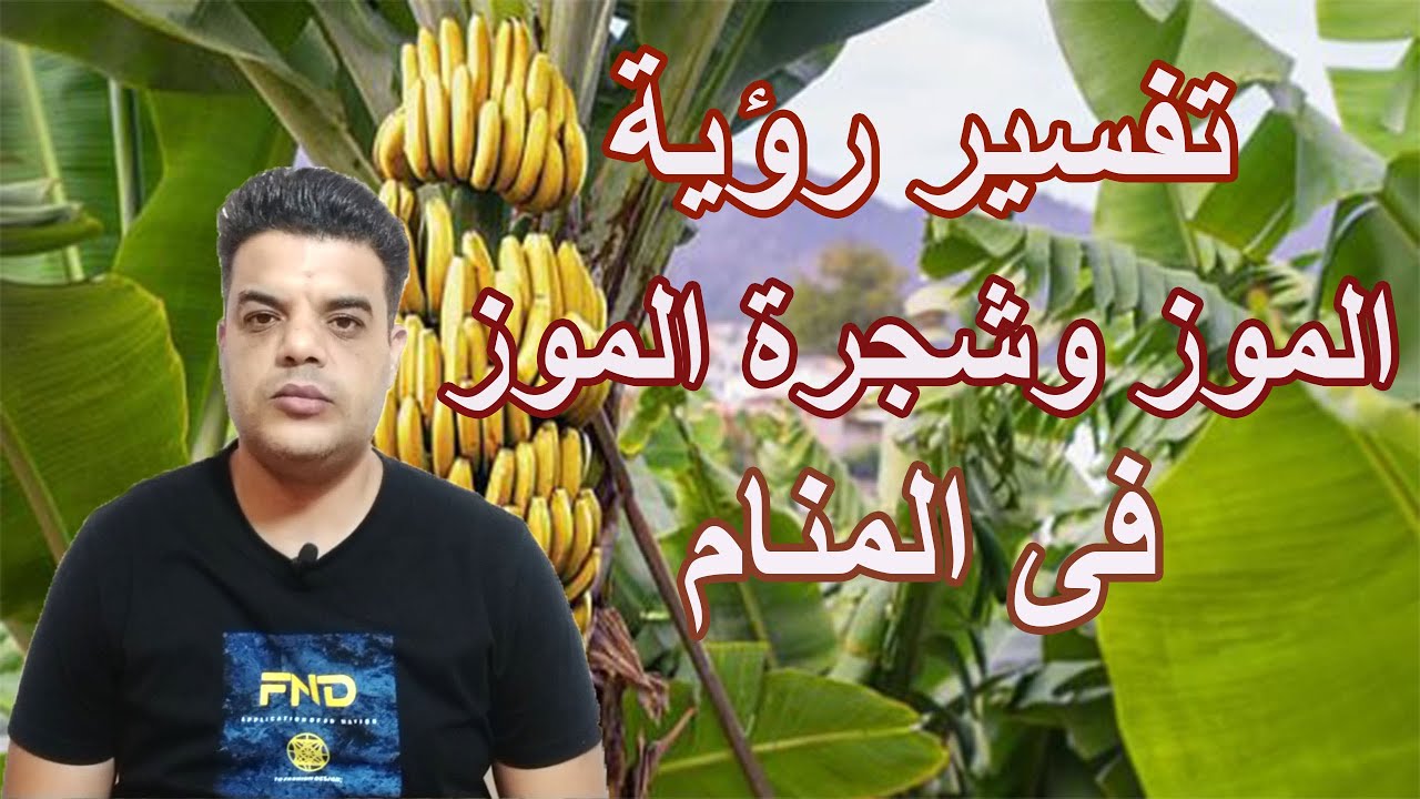 تفسير رؤية الموز وشجرة الموز فى المنام