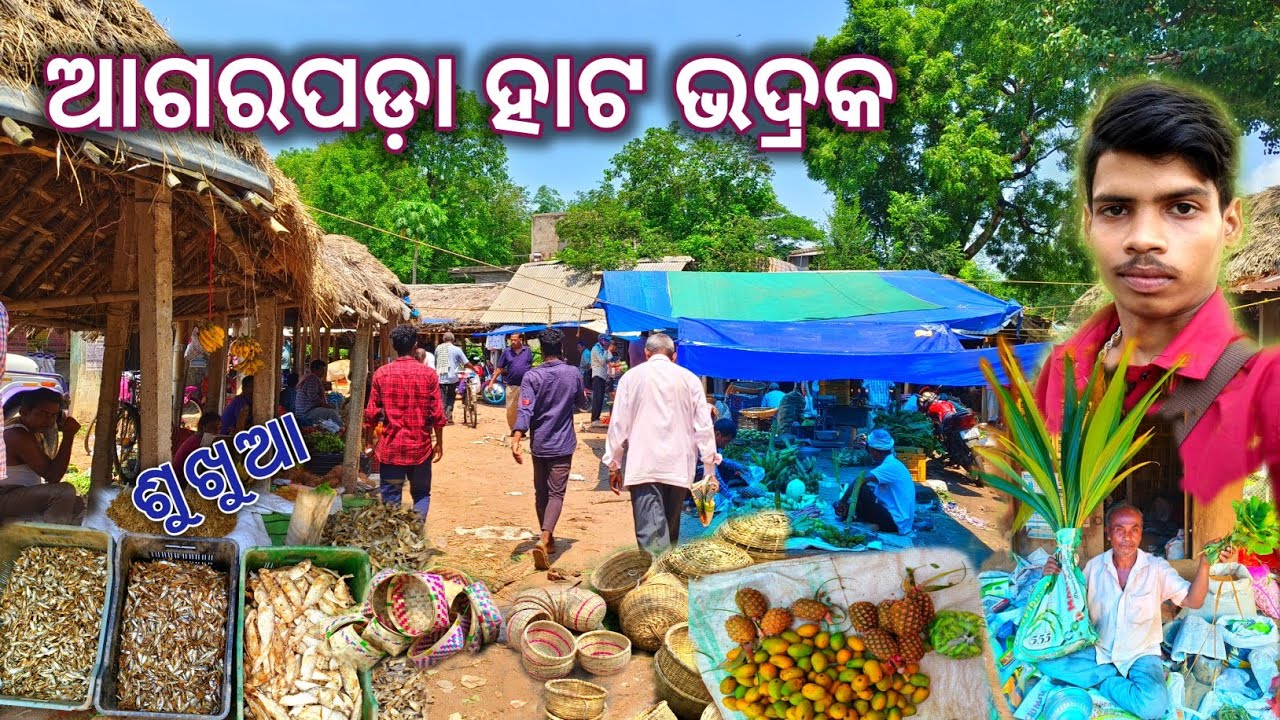 ଆଗରପଡ଼ା ହାଟ ଭଦ୍ରକ ।। Agarpada hata bhadrak ।। Daily odia vlogs ।। Odia village life vlog ।।