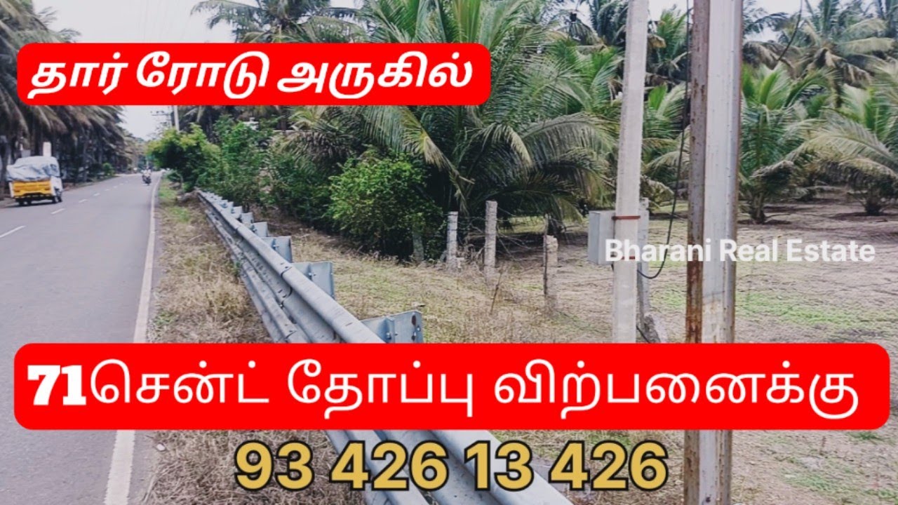 71சென்ட் தென்னந்தோப்பு விற்பனைக்கு|தார் ரோடு அருகில் 