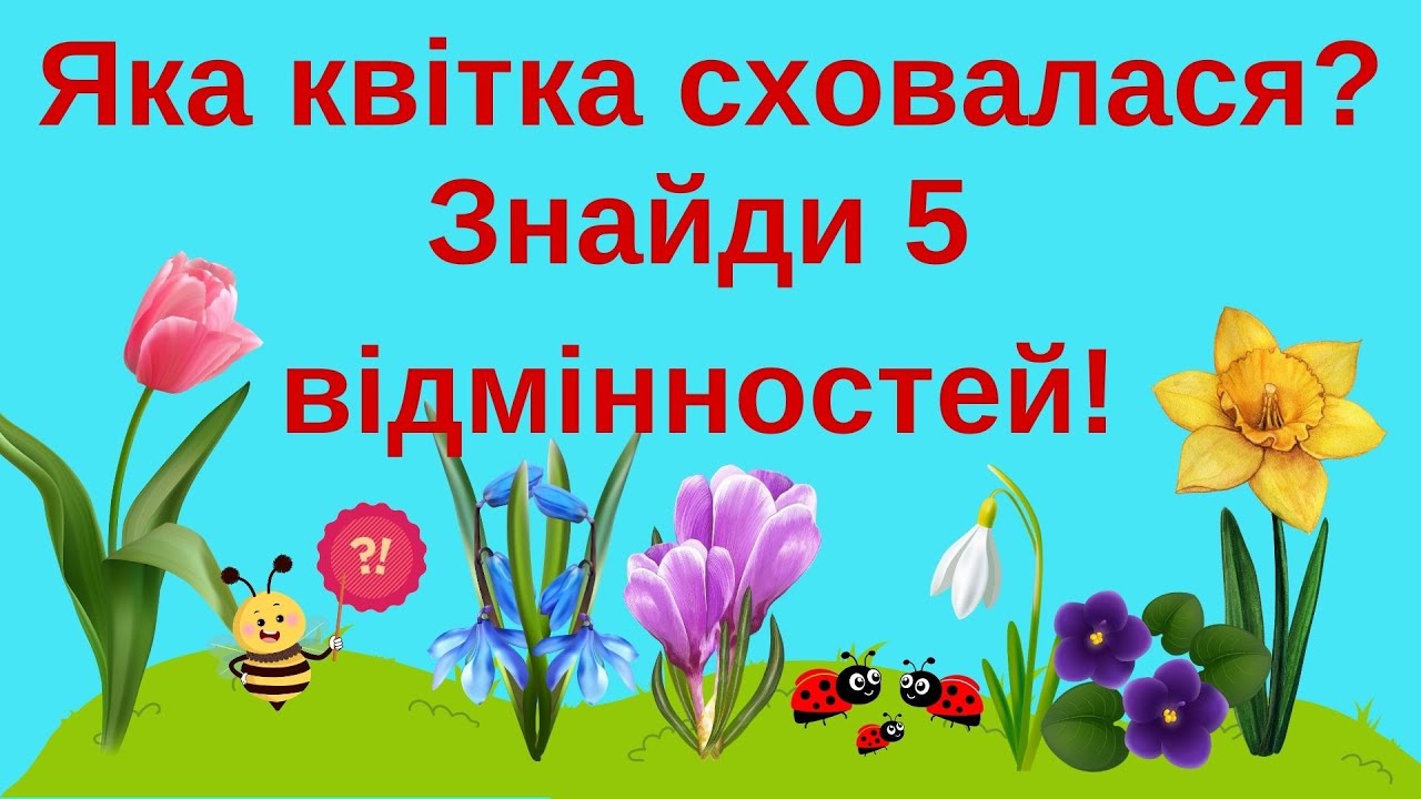 «Відгадай, яка квітка сховалася?» «Знайди 5 відмінностей»  Дидактичні ігри