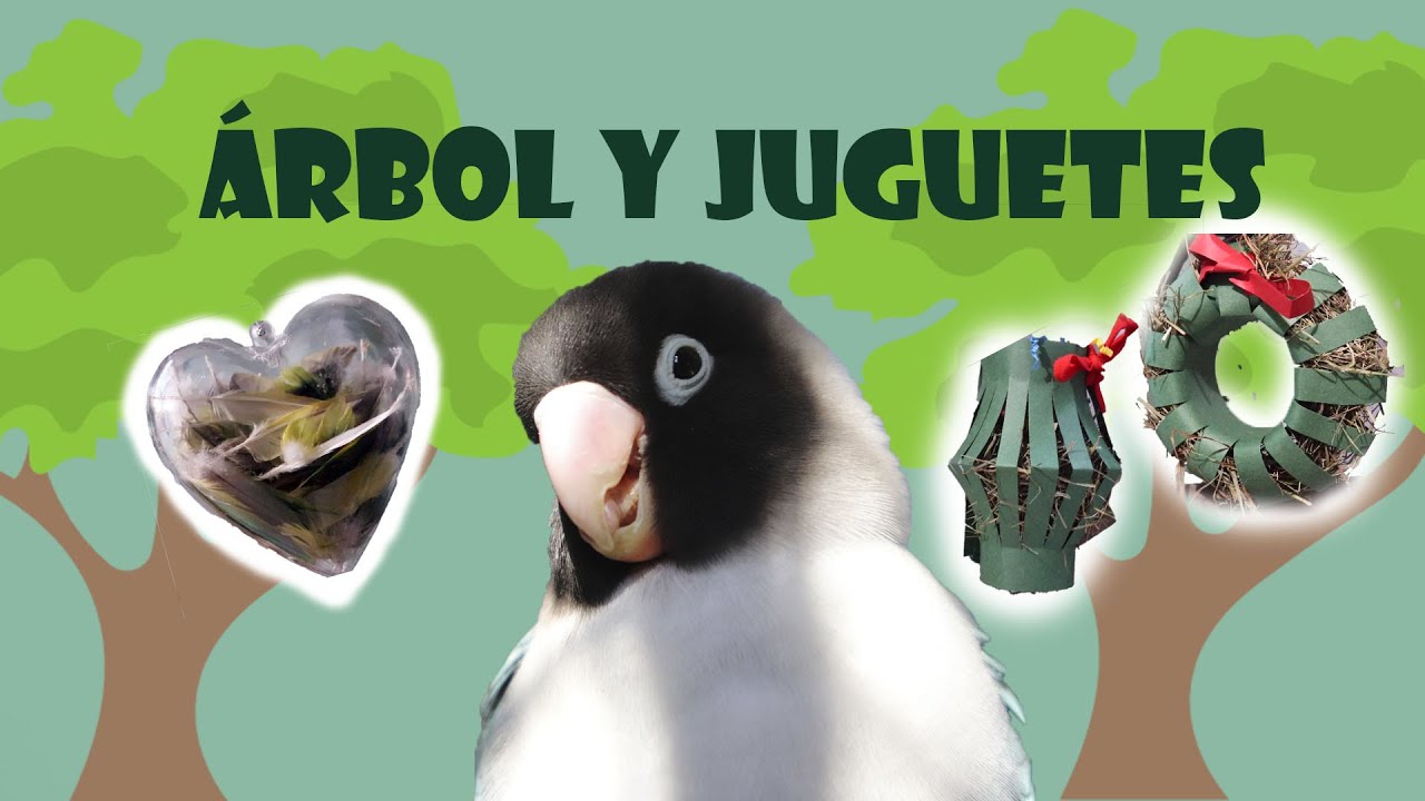 ¡Hacemos un árbol y juguetes para aves!