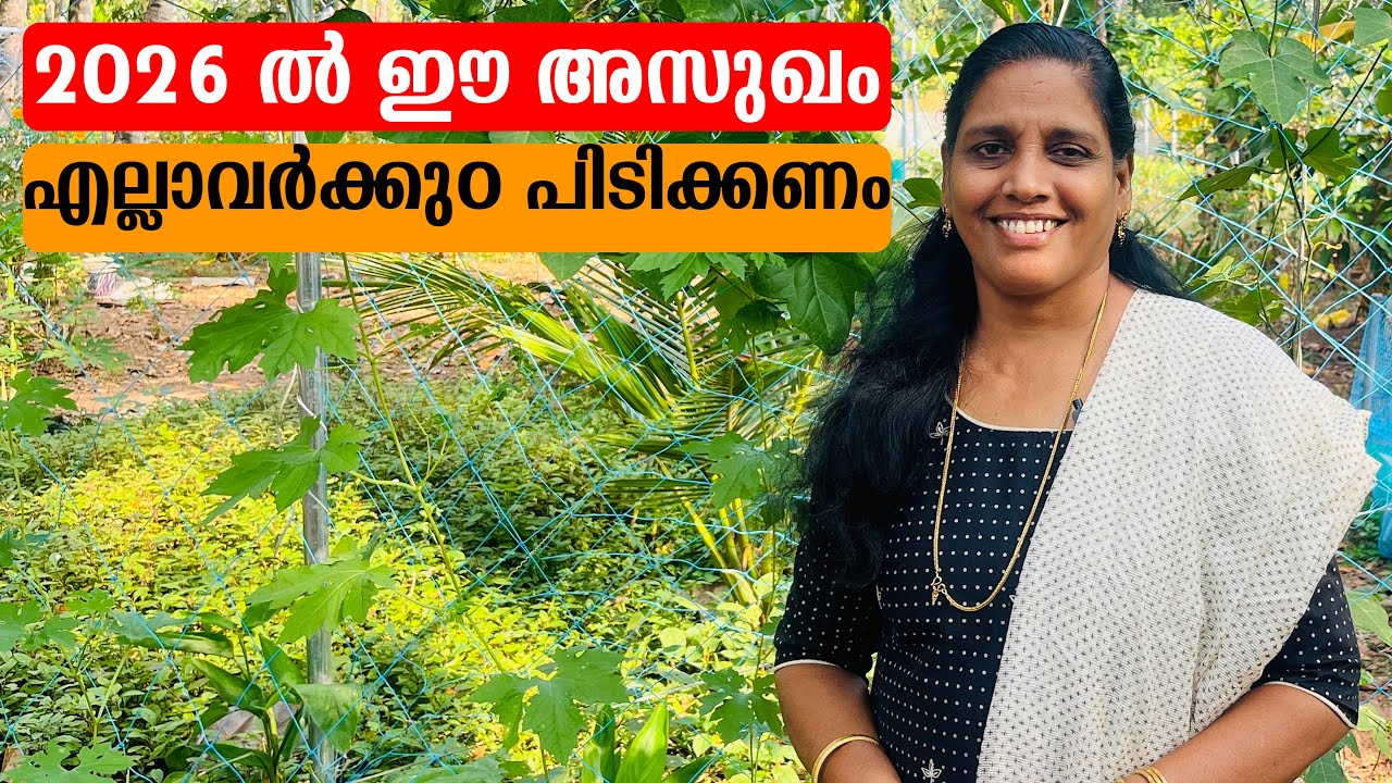 2026 ൽ ഈ അസുഖം എല്ലാവർക്കുഠ പിടിക്കണം | Mini's Lifestyle