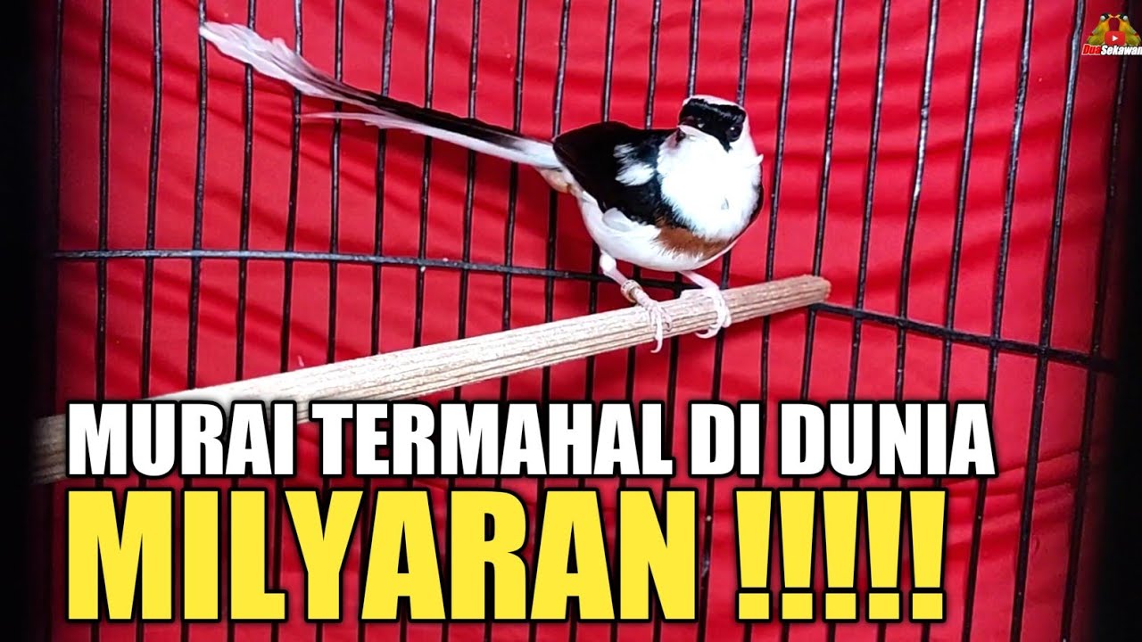 10 MURAI BATU TERMAHAL DI DUNIA ! BUSET MILYARAN