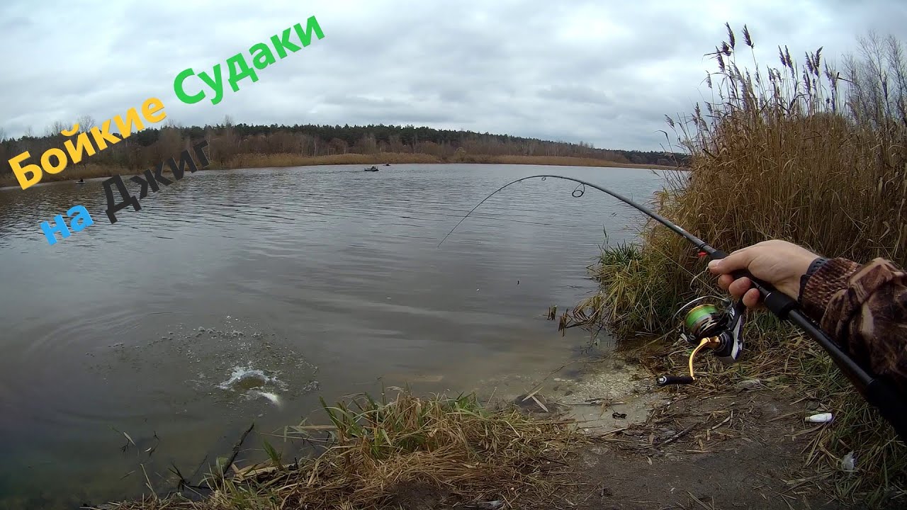 Секретная приманка на судака. Судак осенью на джиг.