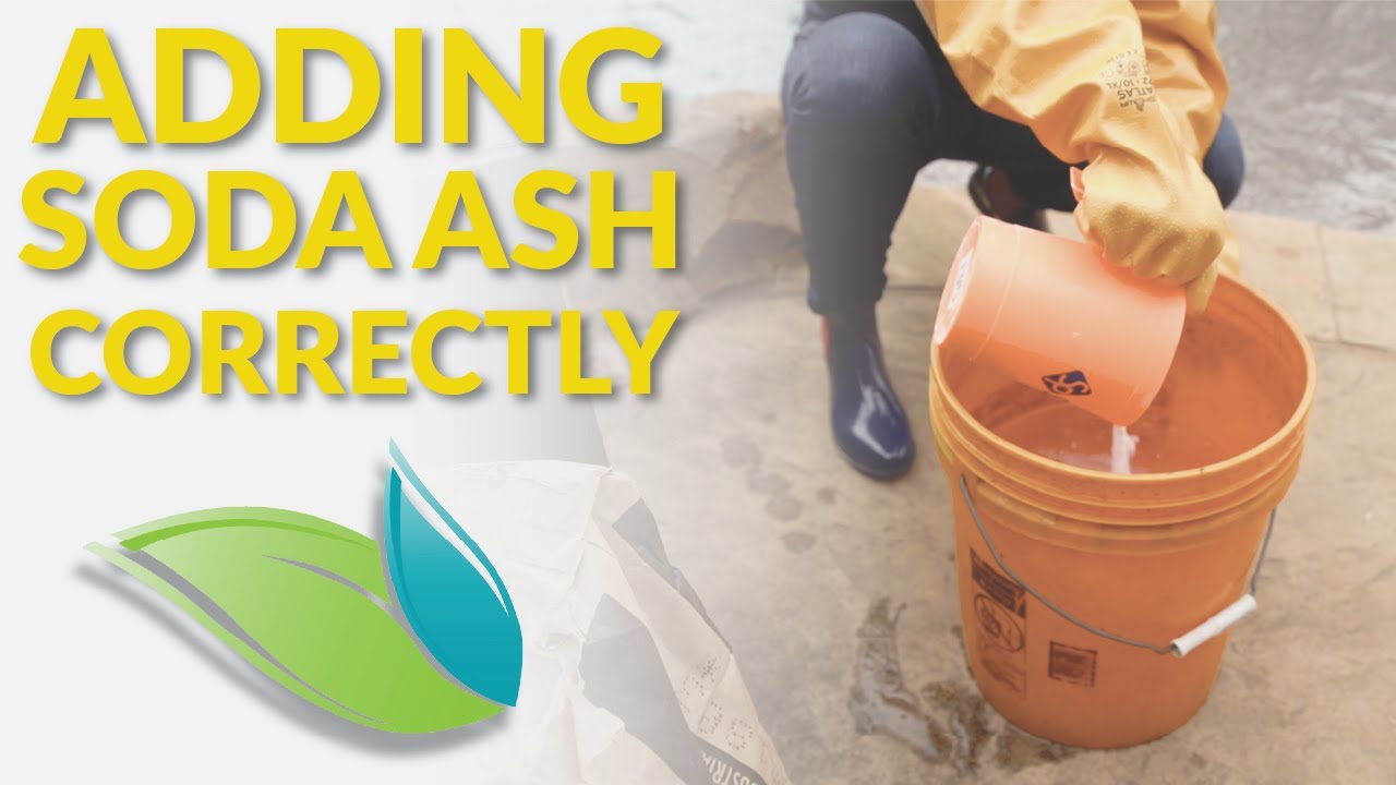 How to Safely Add Soda Ash or Sodium Bicarb to a Swimming Pool | Orenda Procedures