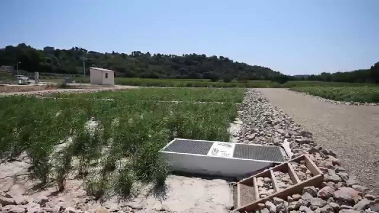Station Epuration Filtre Planté Roseaux Tressan 34 PhytoSERPE