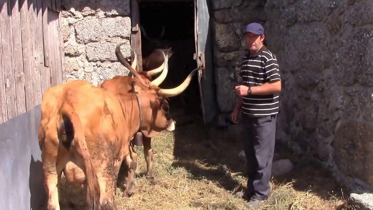 Mixões da Serra, Valdreu, Vila Verde.