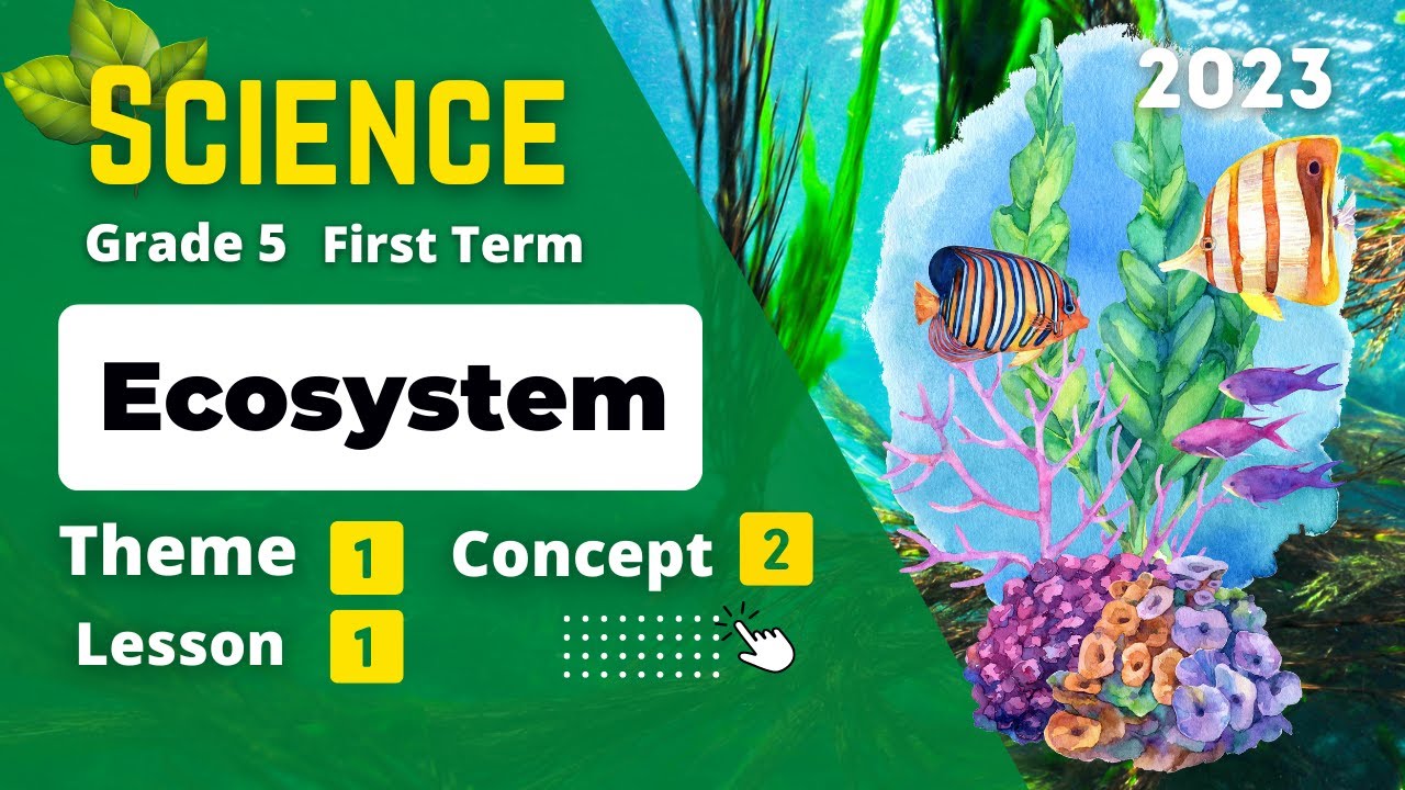 Grade 5 | Science | Unit 1 - Concept 2 - Lesson 1 - Ecosystem