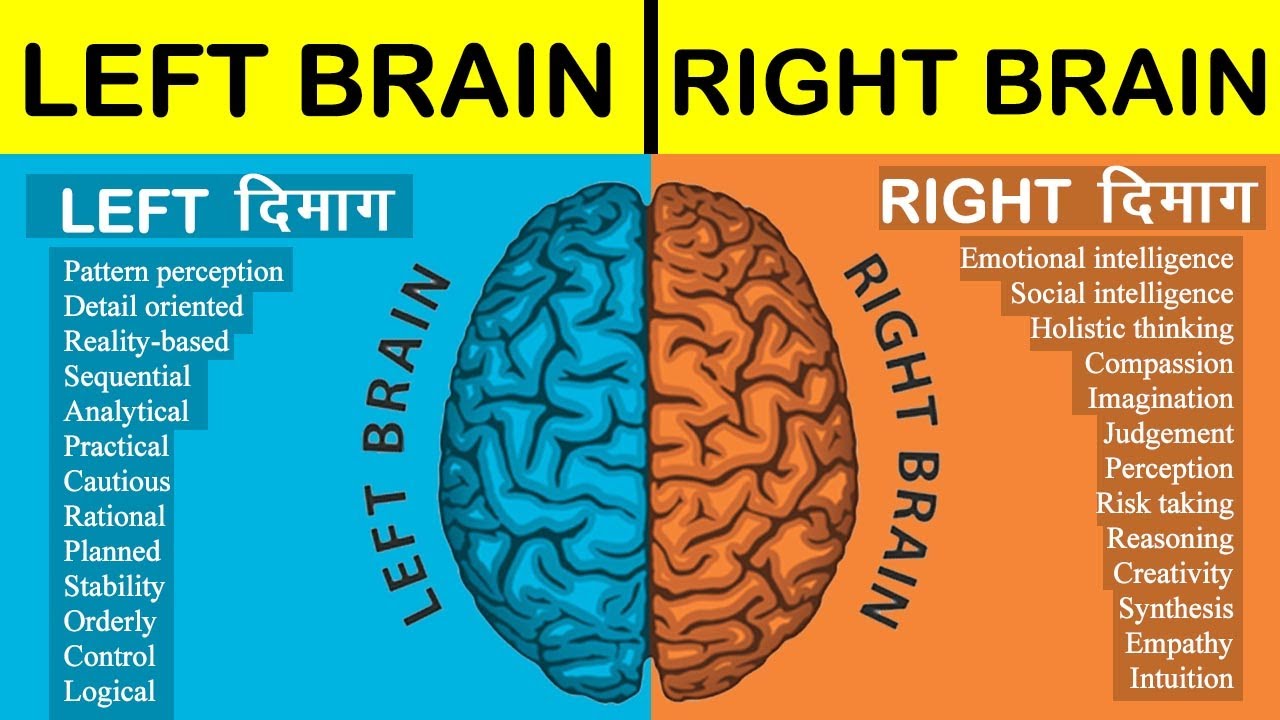 Left brain vs Right brain Full Comparison in Hindi 2021 | Left brain vs Right brain which is better