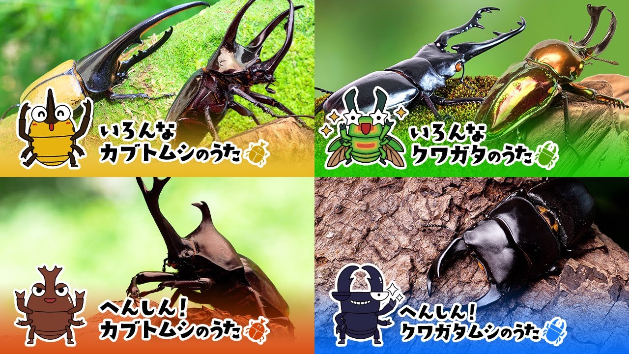 カブトムシ・クワガタのうたメドレー🎵