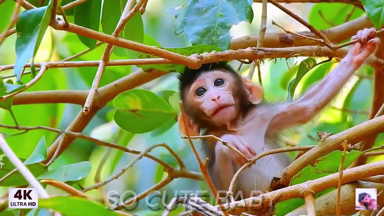 ...! SO CUTE BABY