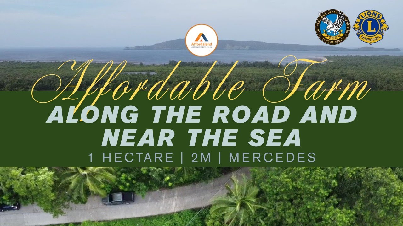 (SOLD) AFFORDABLE ROADSIDE NEAR TO SEA PROPERTY 1 HAS| 2M | MERCEDES #farmlot #propertyforsale #farm