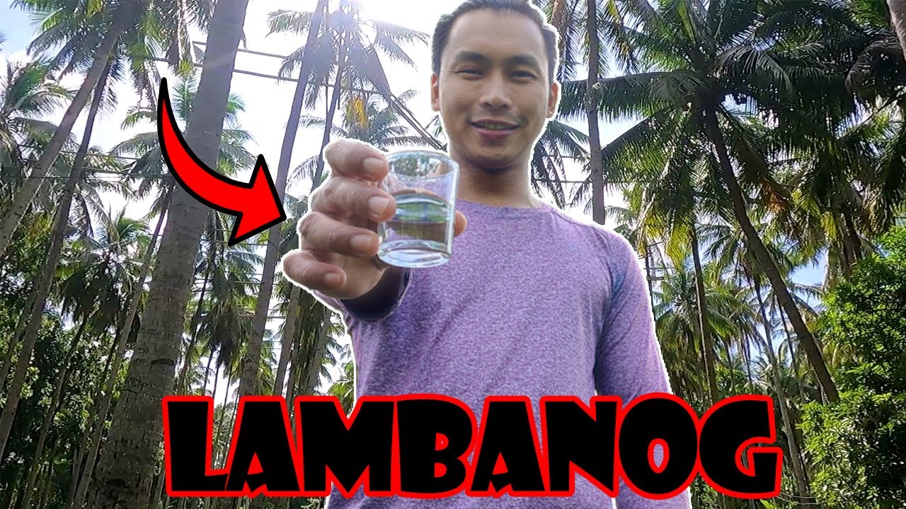 Alak Mula sa Puno ng Niyog | Coconut Whisky