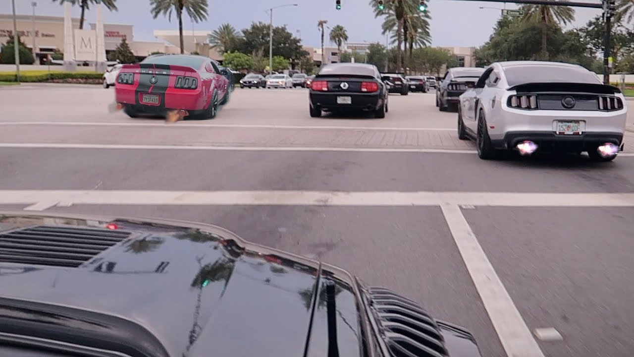 Mustangs TEAR UP the Streets of Florida! *Caution: LOUD*