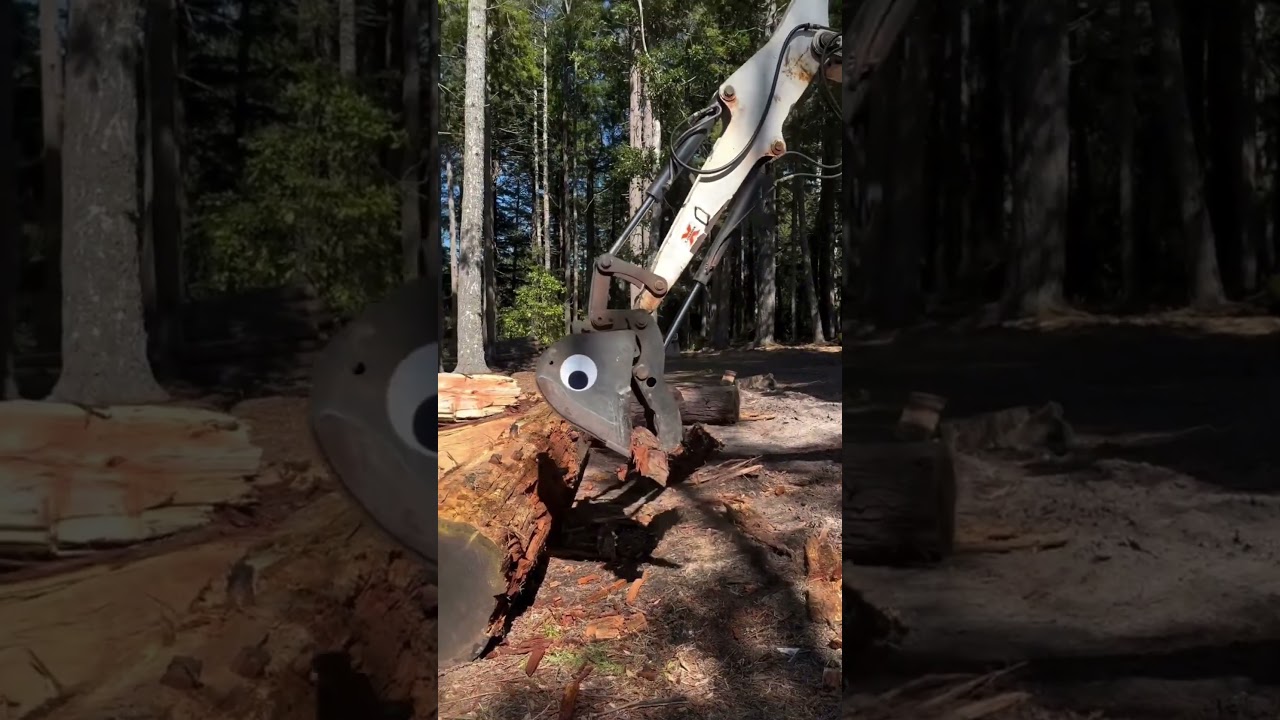 Лучшее обновление для вашего экскаватора (@foxfern.forest) #usa #diy #story