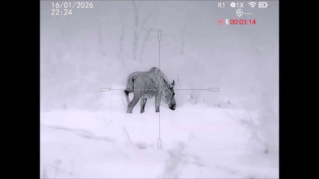 NIGHTEAGLE SPARK 645 LRF Горячая новинка 2025 года. Впервые представлен на выставке OrelEXPO 2025