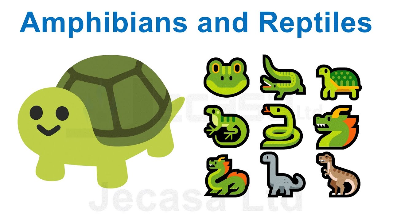 Emoji Meanings Part 14 - Amphibians and Reptiles | Animals | English Vocabulary