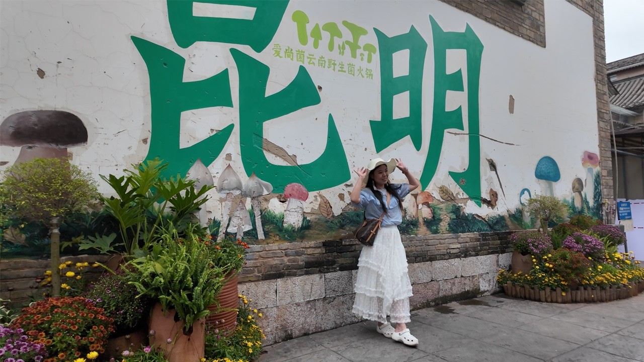 Kunming Old Street Walk
