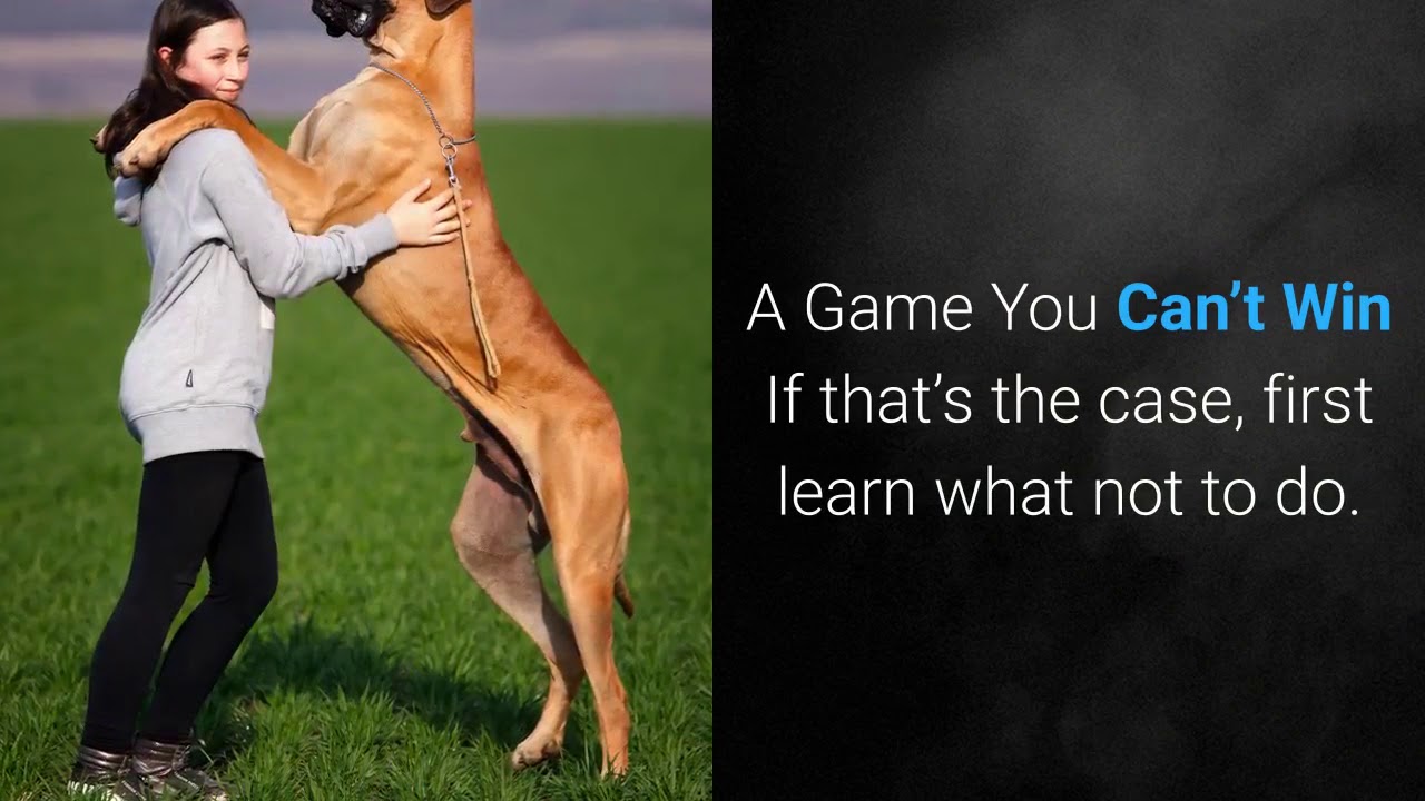 How To Correct A Dog That Doesn’t Come When Called