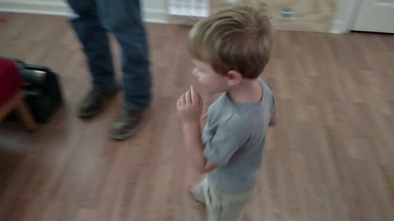 First time meeting hampster