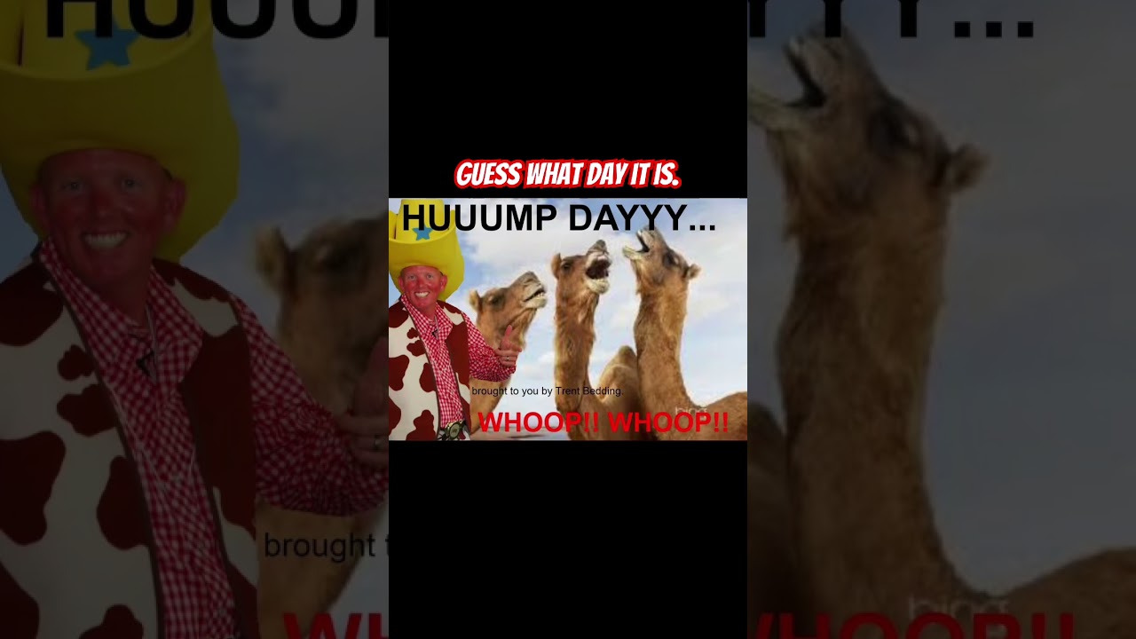 Guess what day it is! Happy hump day from #TrentBedding #HumpDay #HappyHumpDay #ShopLocal