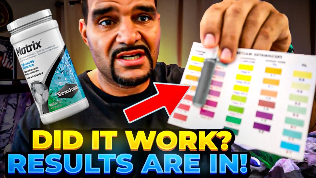 Can Seachem Matrix Remove NITRATES? (The Matrix Experiment)