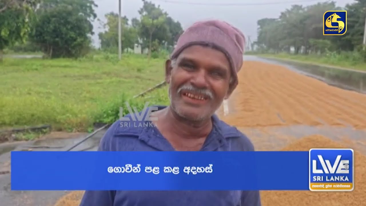 දහ දුක් විඳ නෙළා ගත්වී අස්වැන්න මහ වැස්සට විනාශ වෙලා
