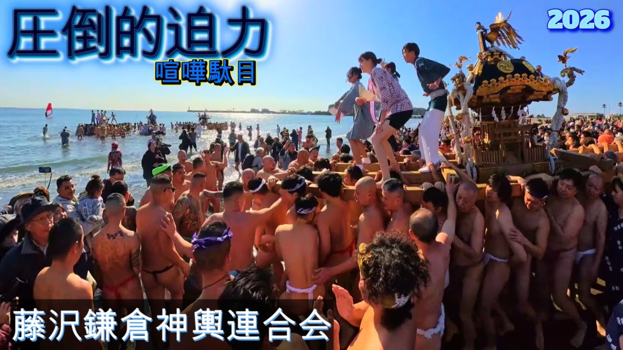 令和８年　圧倒的迫力｜江の島 寒中神輿錬成大会 2026・片瀬東浜 四基の神輿が海へ【圧巻の覇力】　 藤沢鎌倉神輿連合会｜冬を越える力｜エドマエとドッコイ、江の島の海へ　video# 2 。