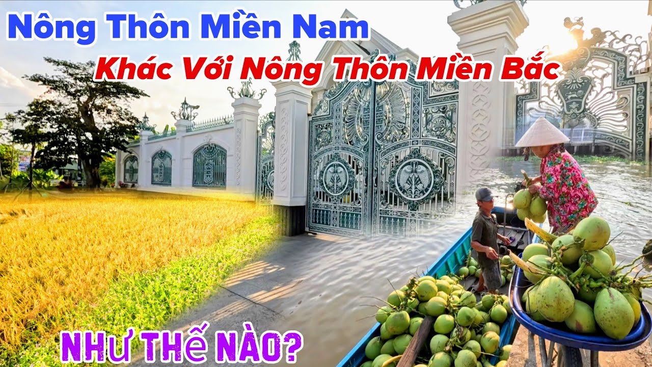 Sự Khác Biệt Giữa Nông Thôn Miền Nam Và Nông Thôn Miền Bắc Sẽ Như Thế Nào?