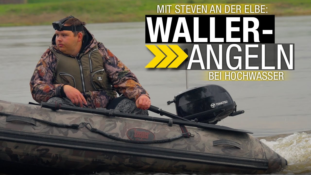 Wallerangeln an der Elbe: mit Steven auf Hochwasser-Welse