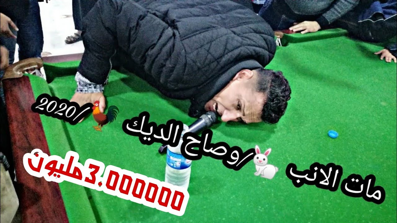 جرو طلعو شوي طلعو/قفزا الارنب مات الارنب /الفنان الكوميديا مويد العبدالله /تسجيلات الوسام/صاح الديك