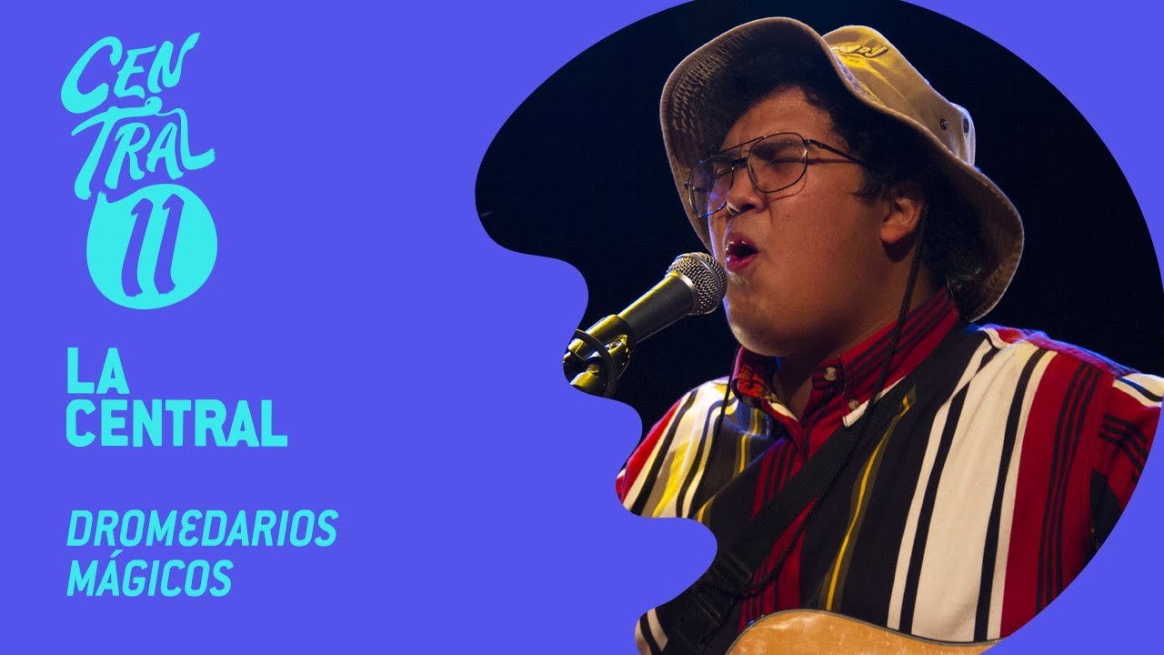 Central 11 TV - Dromedarios m&aacute;gicos en La Central (15/09/2018)