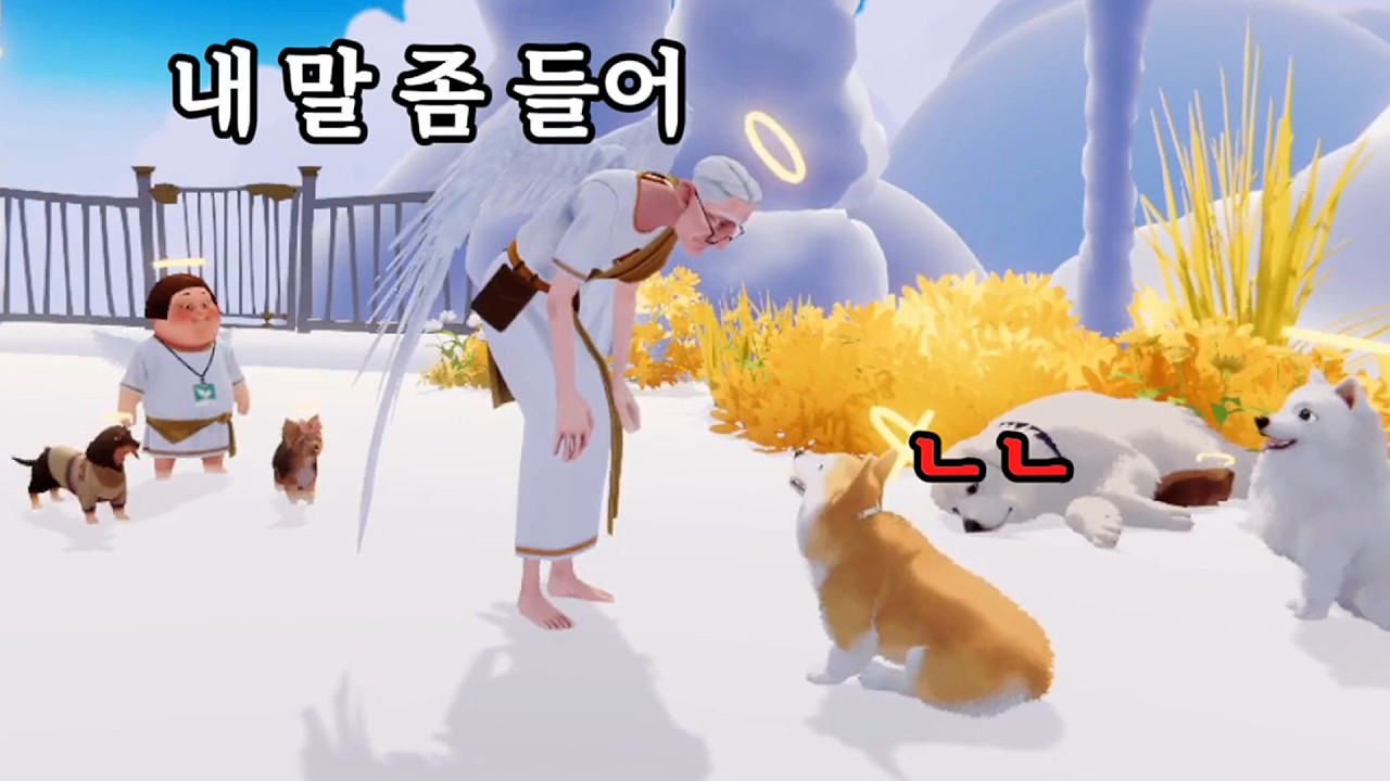 나의 작은 강아지가 T일 때