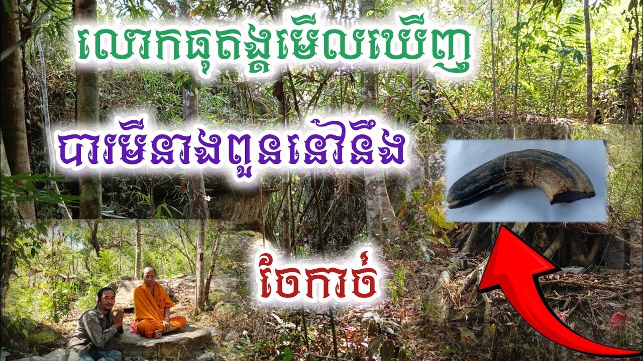 លោកធុតង្តមើលឃើញបារមីនាងពួននៅនឹងចែកាច់