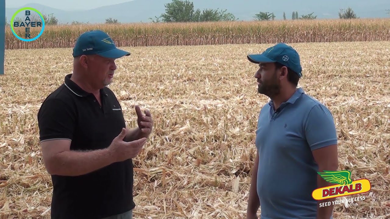 DKC6980 - Beydere Tohum Sertifikasyon Test M&uuml;d&uuml;rl&uuml;ğ&uuml;