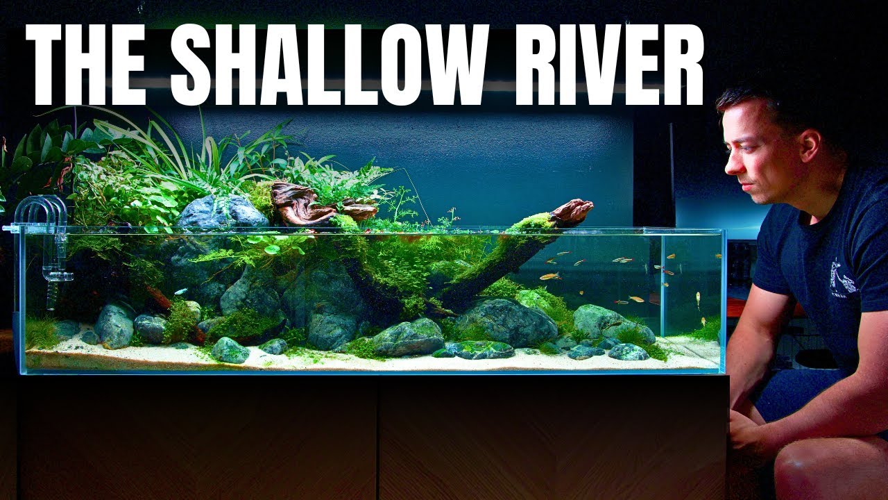 BUILDING A 120CM SHALLOW RIVER AQUASCAPE! Full Step by Step Tutorial