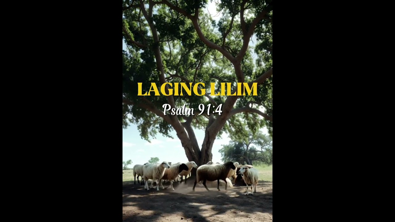 LAGING LILIM