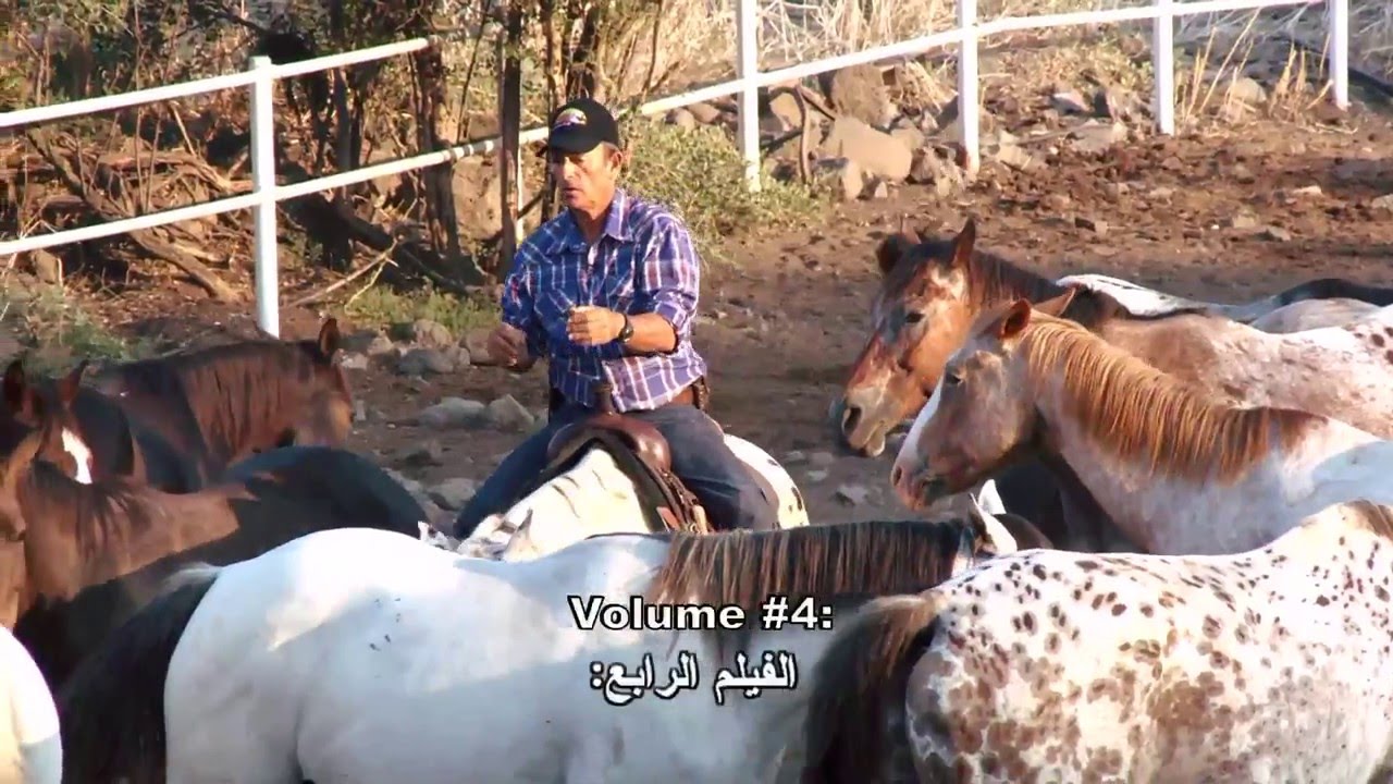 אורי פלג - חלק 2/4 – מסוס מאולף לראשיה לעלייה הראשונה Uri peleg Road to Natural Conection Series