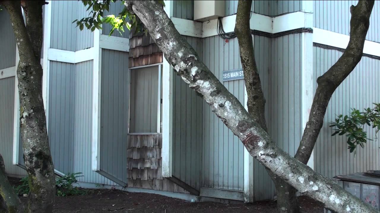 Three Arrested In Springfield Attack